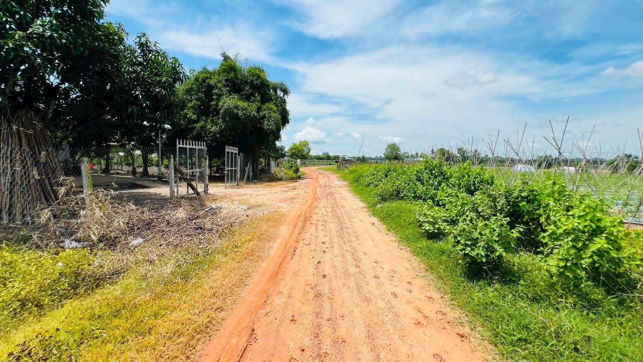 Đất nền chính chủ Long Khánh Bến Cầu 1000m² chỉ 39 triệu - Cơ hội vàng cho nhà đầu tư!