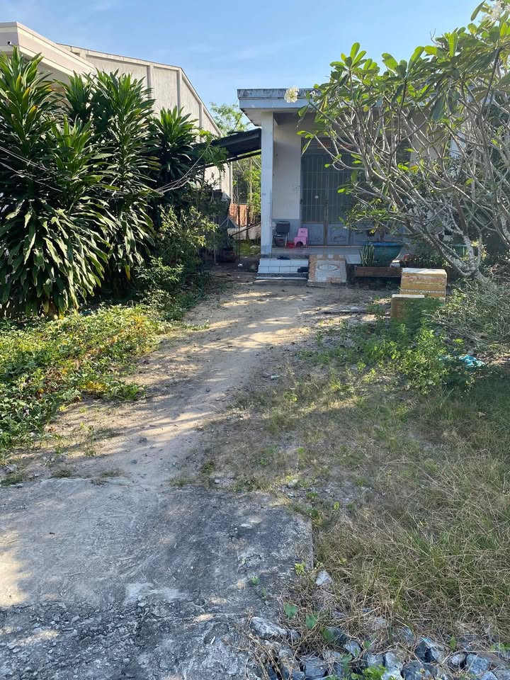 Nhà đất Khu phố 1, xã Tân Châu, Tây Ninh 296m² giá 950 triệu - Cơ hội đầu tư tuyệt vời!