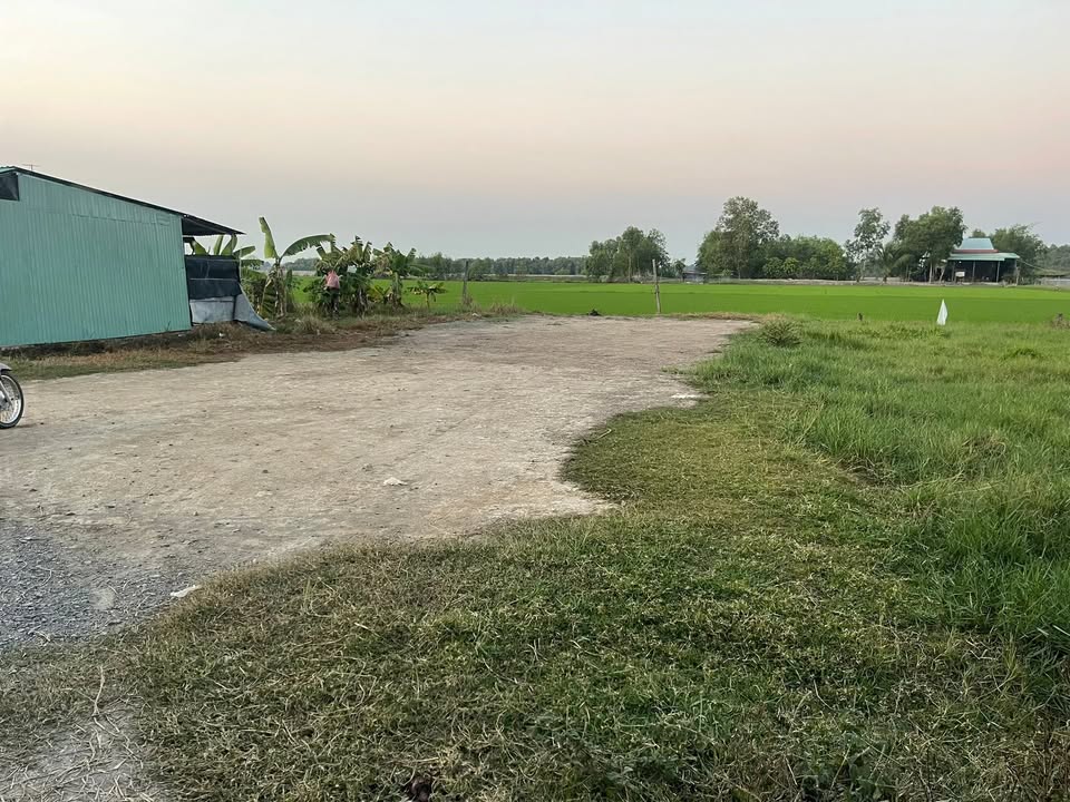 Đất thổ cư 210m² tại xã Phước Chỉ, Trảng Bàng - Giá chỉ 600 triệu!