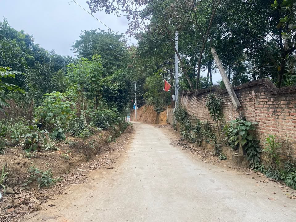 Đất nền Việt Trì 184m² giá chỉ 1 tỷ - Sở hữu ngay lô đất 3 mặt tiền cực thoáng!