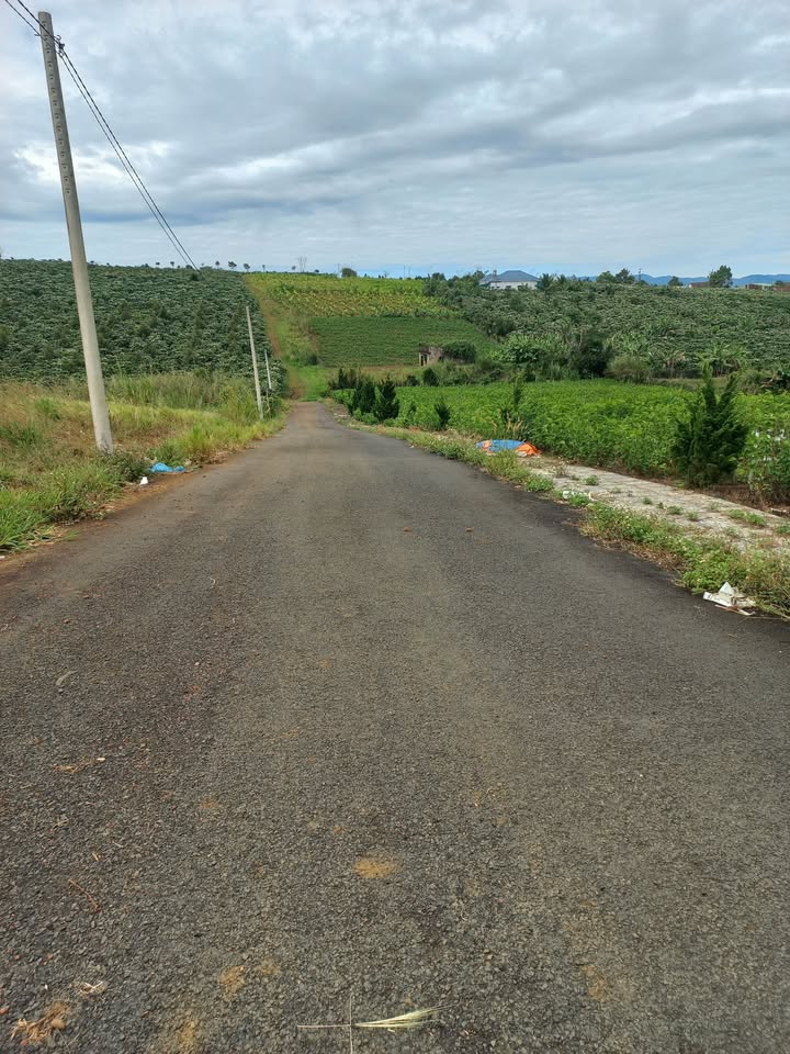 Đất thổ cư Lộc Quảng Bảo Lâm 245m² giá chỉ 650 triệu - Cơ hội đầu tư tuyệt vời!