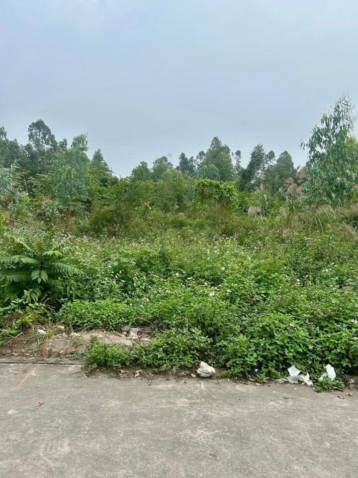 Đất nền Tăng Tiến 90m² giá 3.42 tỷ - Đầu tư sinh lời ngay sát KCN!