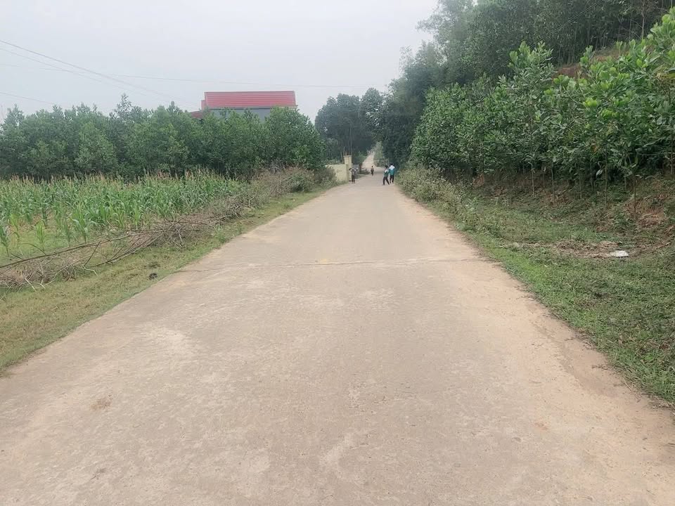 Đất nền Gia Sơn Nho Quan 228m² giá thỏa thuận - Cơ hội đầu tư hấp dẫn!