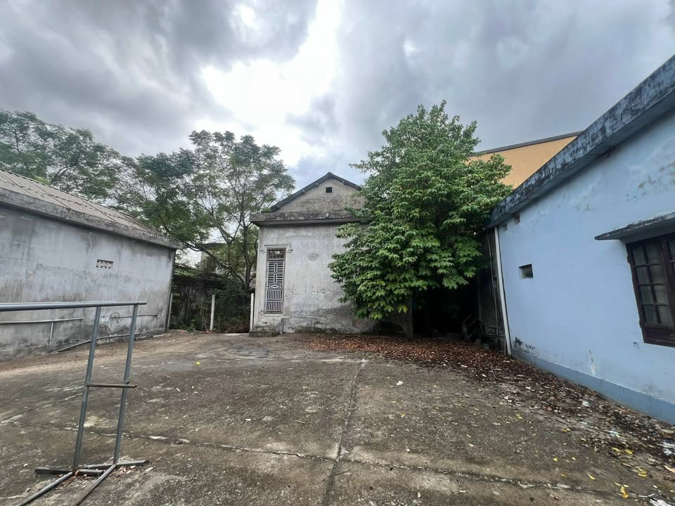 Đất có nhà cấp 4 tại đường Lê Duẩn, Diên Sanh, 239m² - Cần bán gấp!