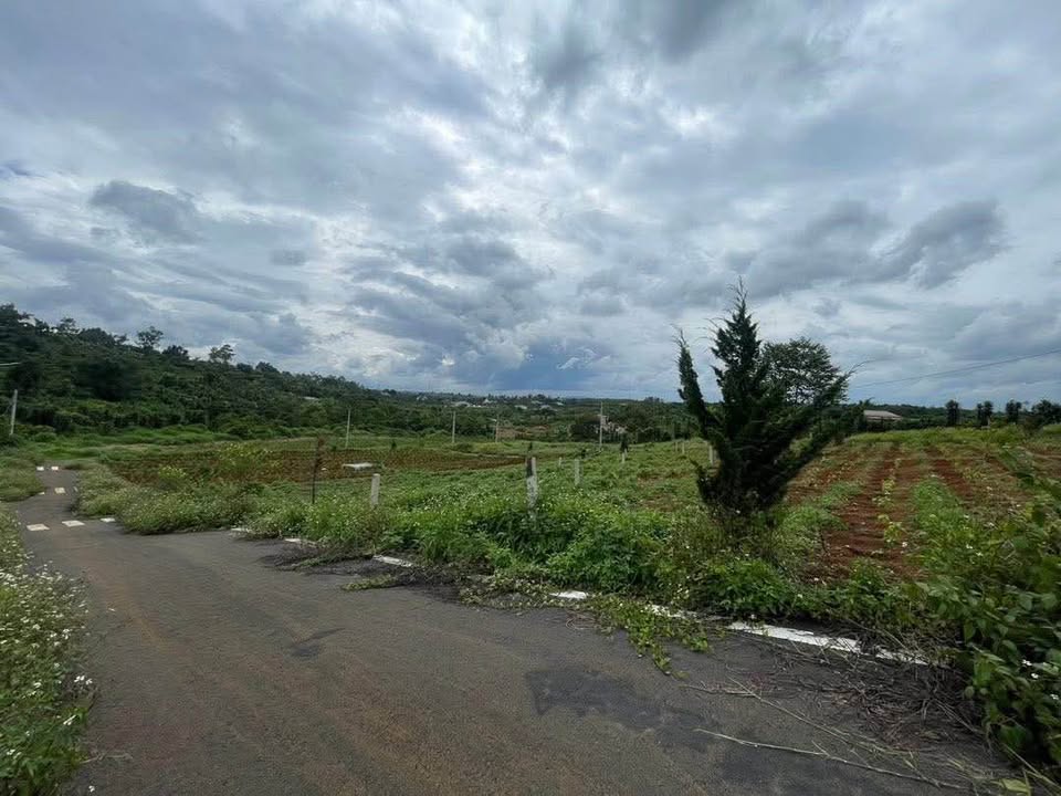 Đất thổ cư Lộc An Bảo Lâm 95m² giá chỉ 479 triệu - Cơ hội đầu tư hiếm có!