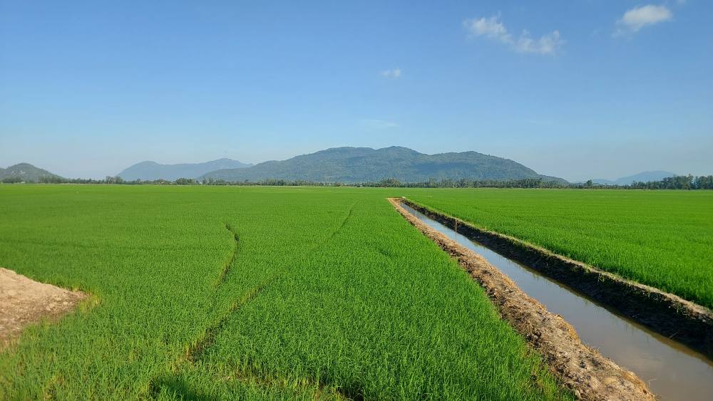 Đất ruộng 126 công tại Vĩnh Phước, Tri Tôn - Giá 11.34 tỷ - Cơ hội đầu tư hấp dẫn!