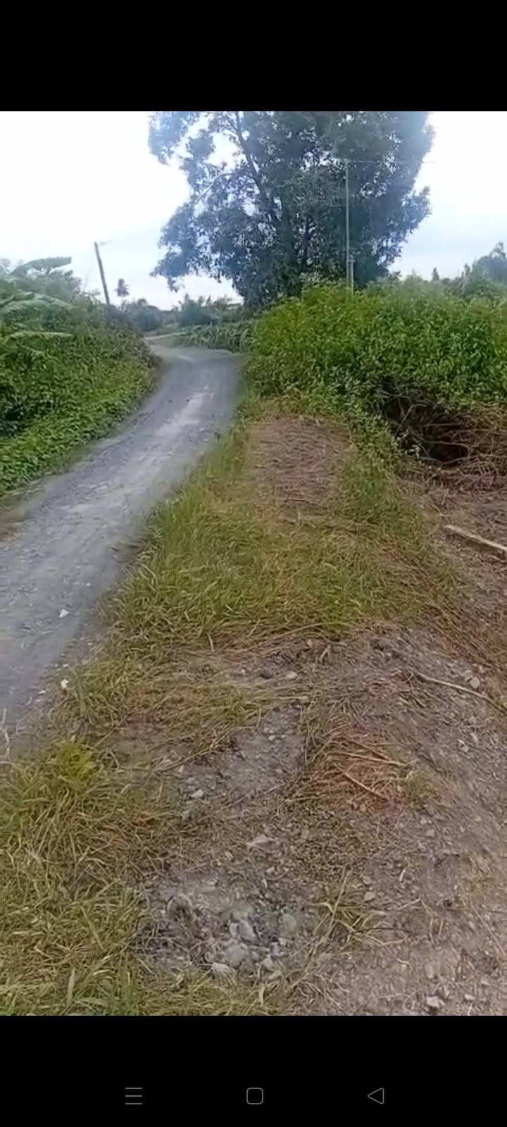 Đất thổ cư Thanh Phú Long, Châu Thành 473m² giá 800 triệu - Cơ hội đầu tư tốt!