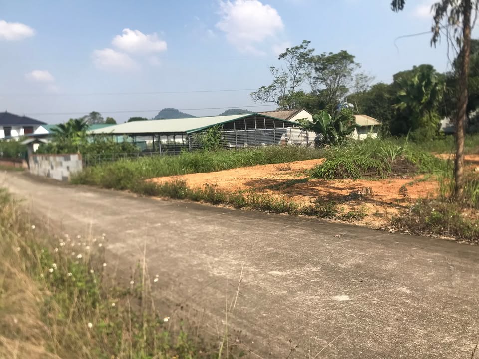 Đất nền 536m² khu 8 Chu Hóa, Việt Trì chỉ 2 tỷ - Sổ hồng chính chủ sang tên ngay!