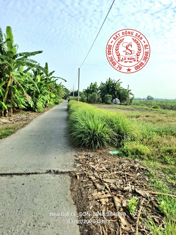 Đất nền Thạnh Đông, An Giang 183m² giá 360 triệu - Đầu tư sinh lời ngay!