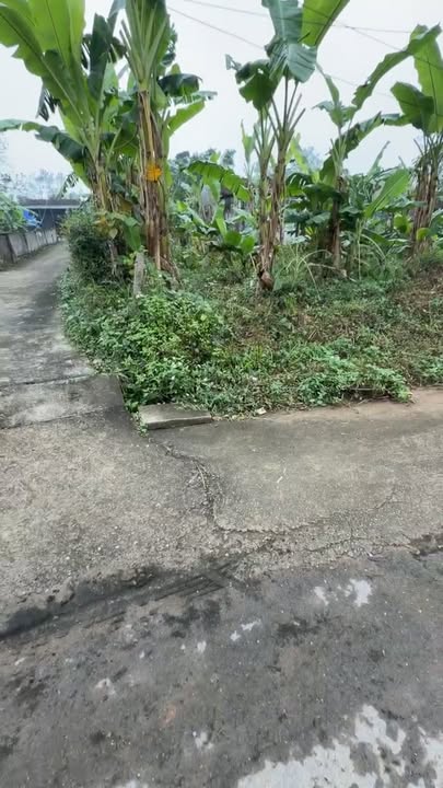 Đất thổ cư 294m² xã Nam Nghĩa, giá chỉ 1.6 tỷ - Cơ hội đầu tư không thể bỏ qua!