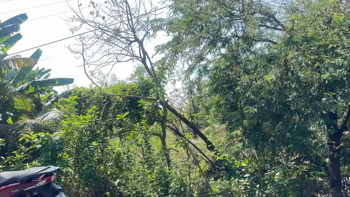 Đất Tân Hiệp Hóc Môn 345m² giá 3.5 tỷ - Cơ hội đầu tư tuyệt vời!