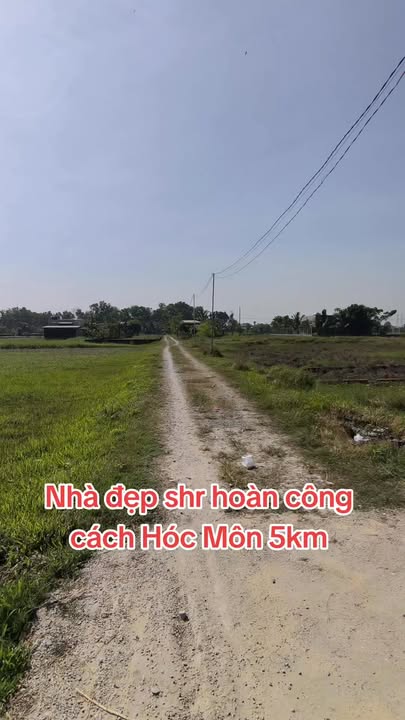 Nhà mới 100% tại Mỹ Hạnh, Đức Hòa 120m² giá 2.25 tỷ - Phong thủy hướng Đông mát mẻ!