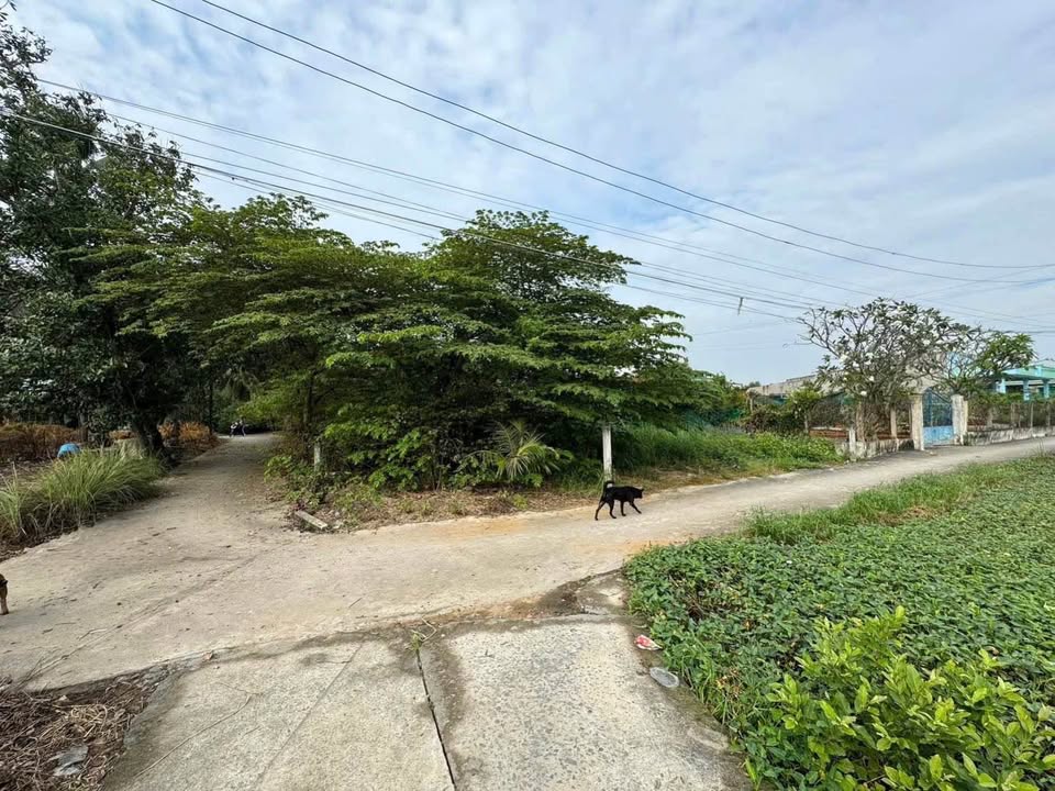 Đất thổ cư liền kề Thị Trấn Bến Lức 60m² giá chỉ 800 triệu - Cơ hội đầu tư hấp dẫn!