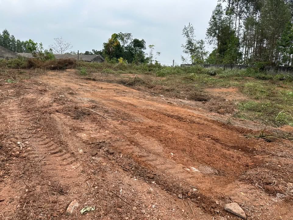 Đất nền Bố Hạ Yên Thế 400m² - Giá cả thỏa thuận, vị trí đẹp!