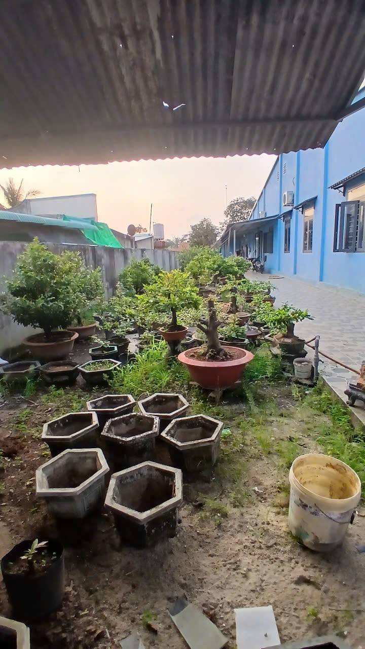 Đất Hẻm Quốc Lộ 22B, Long Thành Nam, 200m² - Giá Rẻ, Thương Lượng Ngay!