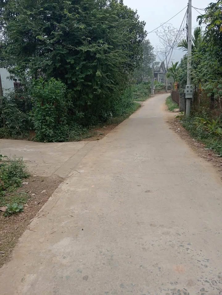 Đất nền Tân Phú, Tân Sơn, Phú Thọ 200m² giá chỉ 300 triệu - Đầu tư sinh lời ngay!