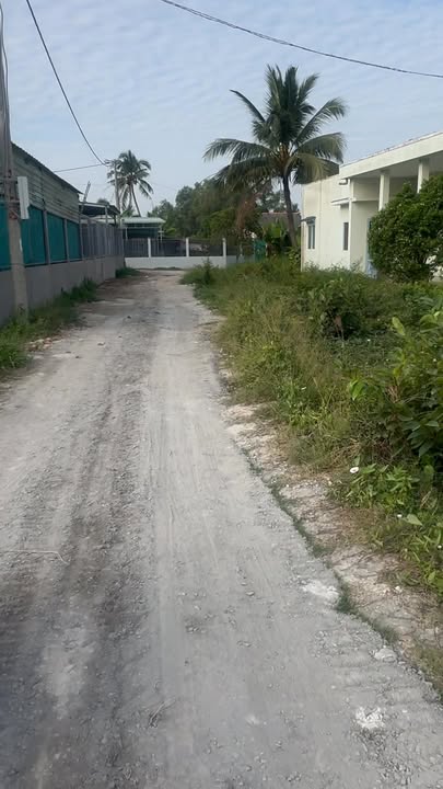 Đất lúa 1100m² ấp 7 Nhựt Chánh Bến Lức giá 1.3 tỷ - Cơ hội đầu tư tuyệt vời!