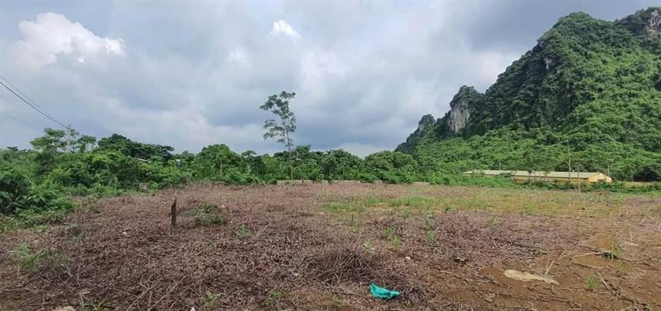 Đất Farm Liên Sơn Lương Sơn Hòa Bình 9840m² giá 30 tỷ - Cơ hội đầu tư sinh lời tuyệt vời!