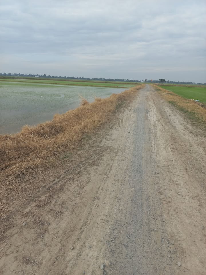 Đất nền Tân Thành B - 21 công giá 3.675 tỷ - Bớt lộc cho khách thiện chí!