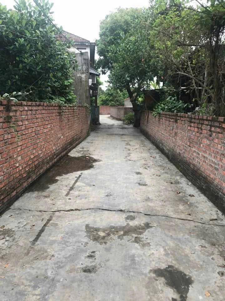 Đất nền Lâm Xuyên, Phú Điền 76m² - Cơ hội đầu tư tuyệt vời!