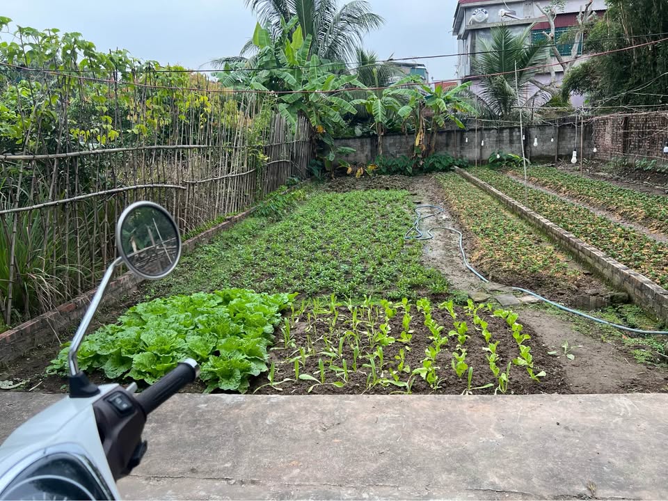 Đất nền Thị trấn Thanh Hà 80m² giá 900 triệu - Đầu tư sinh lời ngay!