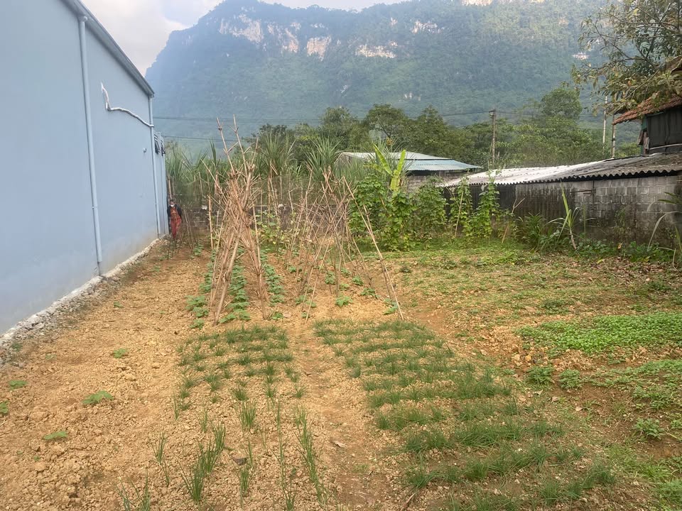 Đất nền KCN Bình Vàng 100m² giá chỉ 300 triệu - Đầu tư sinh lời lý tưởng!