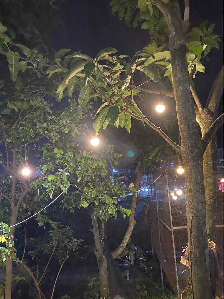 Cho thuê nhà mặt tiền Tăng Bạc Hổ 137m² giá 17 triệu - Kinh doanh đa ngành nghề!