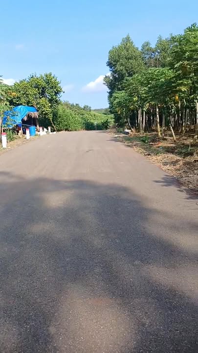 Đất nền xã Xuân Sơn, Châu Đức 4900m² giá 2.4 tỷ - Cơ hội đầu tư tuyệt vời!