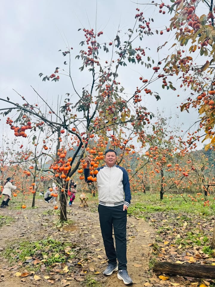 Đất Thụy Xuân - Thái Thụy 131m² giá 2.6 tỷ - Cơ hội đầu tư hấp dẫn!