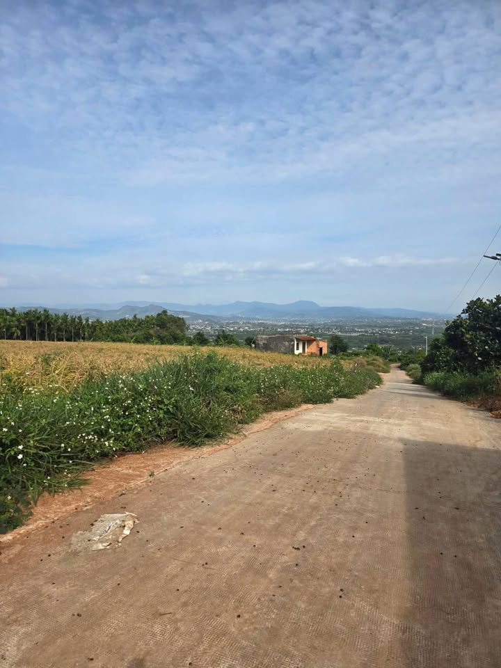 Đất nền 250m² Tân Văn, Lâm Hà chỉ 450 triệu - Cơ hội đầu tư tuyệt vời!