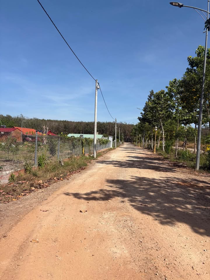 Đất nền khu phố 2, phường Tiến Thành 1260m² - Tiềm năng đầu tư lớn!