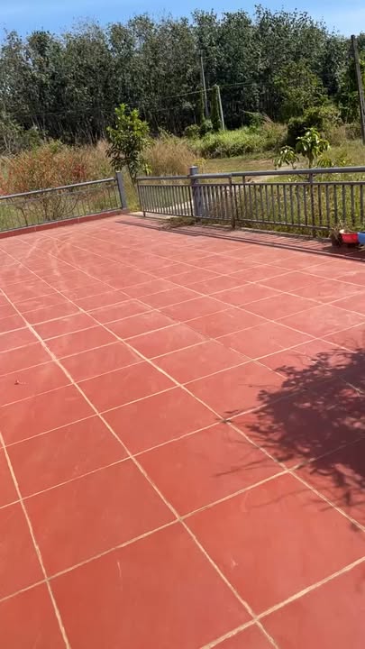 Đất nền Tân Phước, Thủ Đức 200m² giá 1.1 tỷ - Sổ đỏ chính chủ, đầu tư sinh lời!