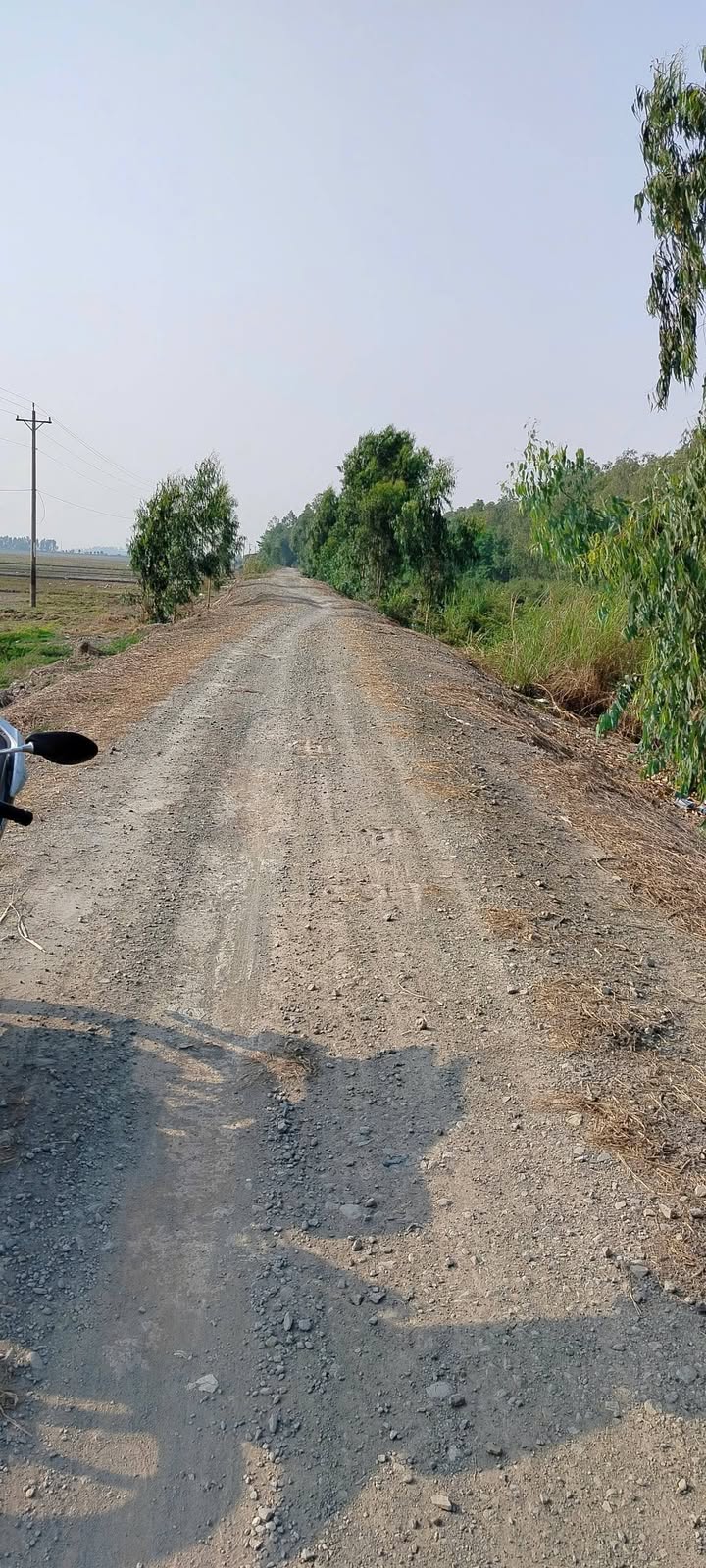 Đất nông nghiệp 72.000m² xã Tân Hội Trung, giá 15.84 tỷ - Mặt tiền lộ đá mi 140m!