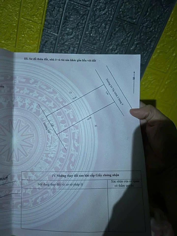 Đất nền An Long, Tam Nông 80m² giá 290 triệu - Cơ hội vàng cho gia đình trẻ!