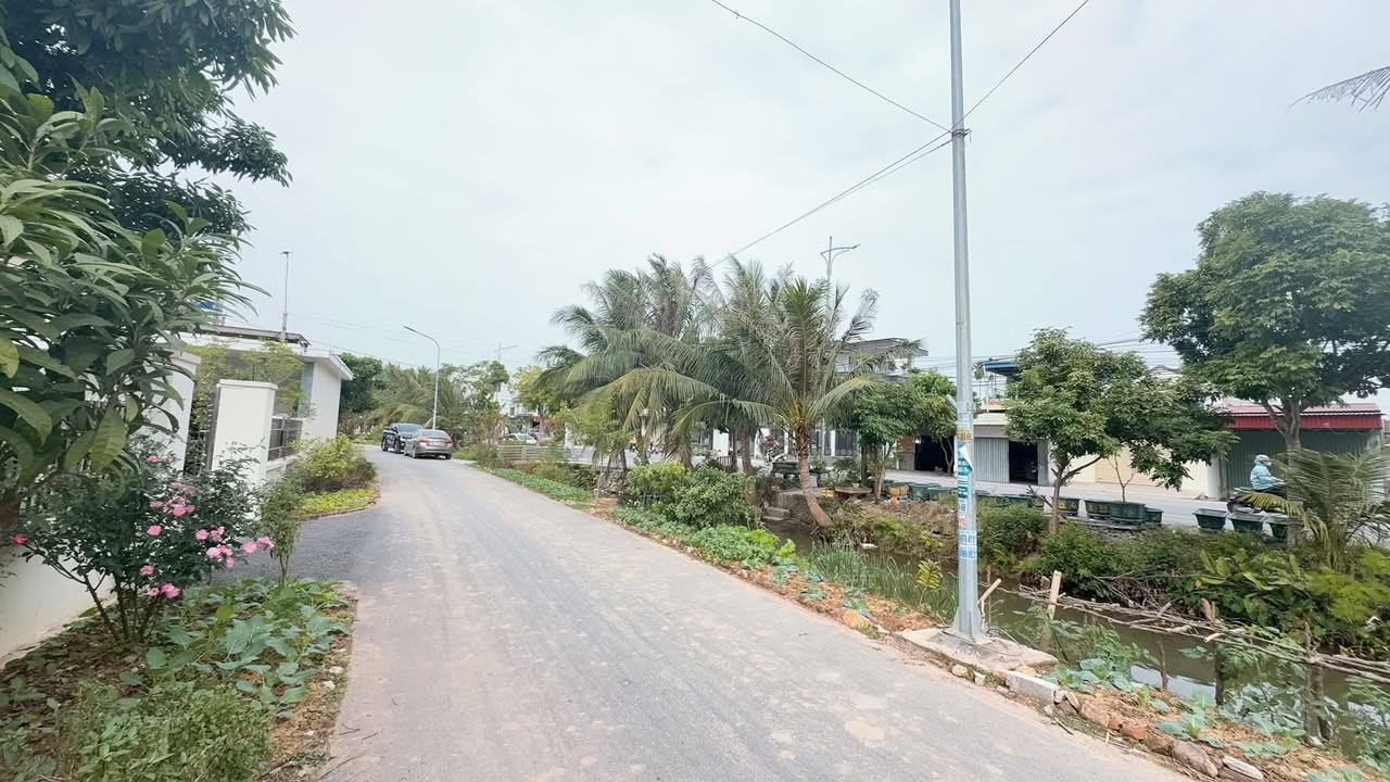Đất nền An Trường, Hải Phòng 200m² - Giá chỉ 3 tỷ, đầu tư sinh lời ngay!