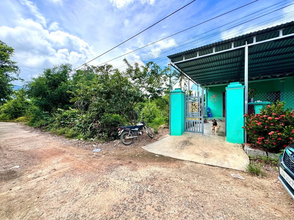 Đất Nền Ninh Tân Ninh Hòa 634.4m² giá 1.55 tỷ - Cách đường DT5 chỉ 100m!