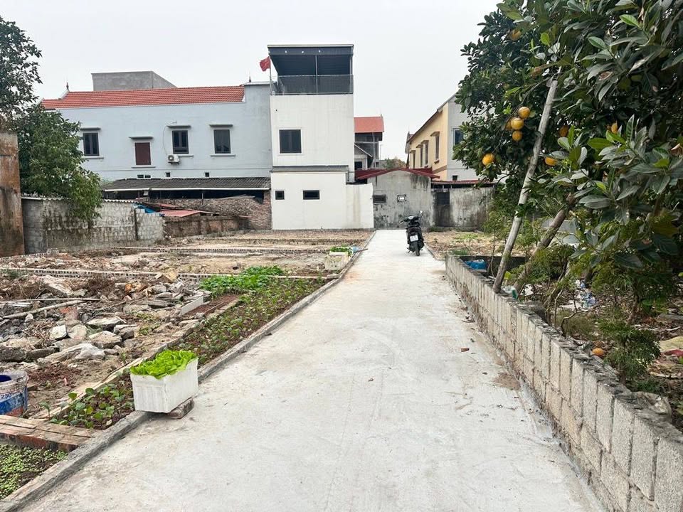 Đất nền Tân Tiến Văn Giang 56m² giá tốt - Đầu tư sinh lời hấp dẫn!