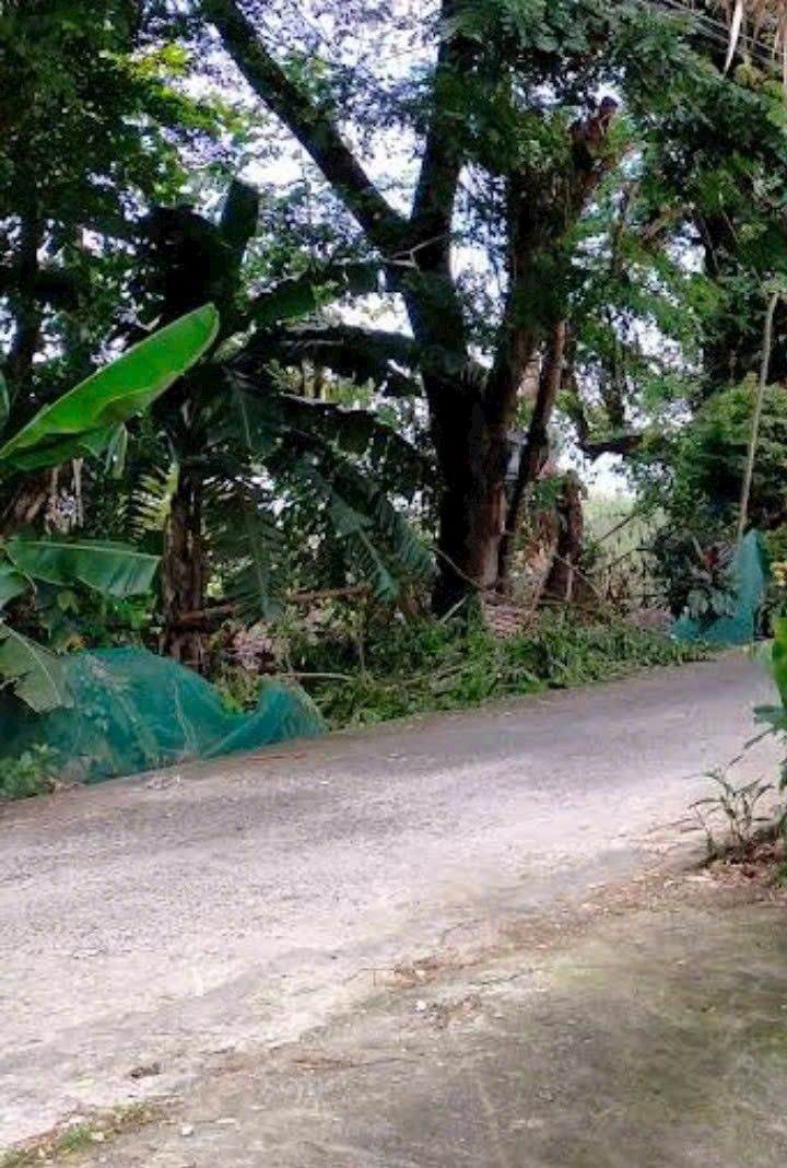 Đất nền 2 công xã Mỹ Hoà Hưng 2000m² - Mặt tiền 31m, gần phà Trà Ôn!