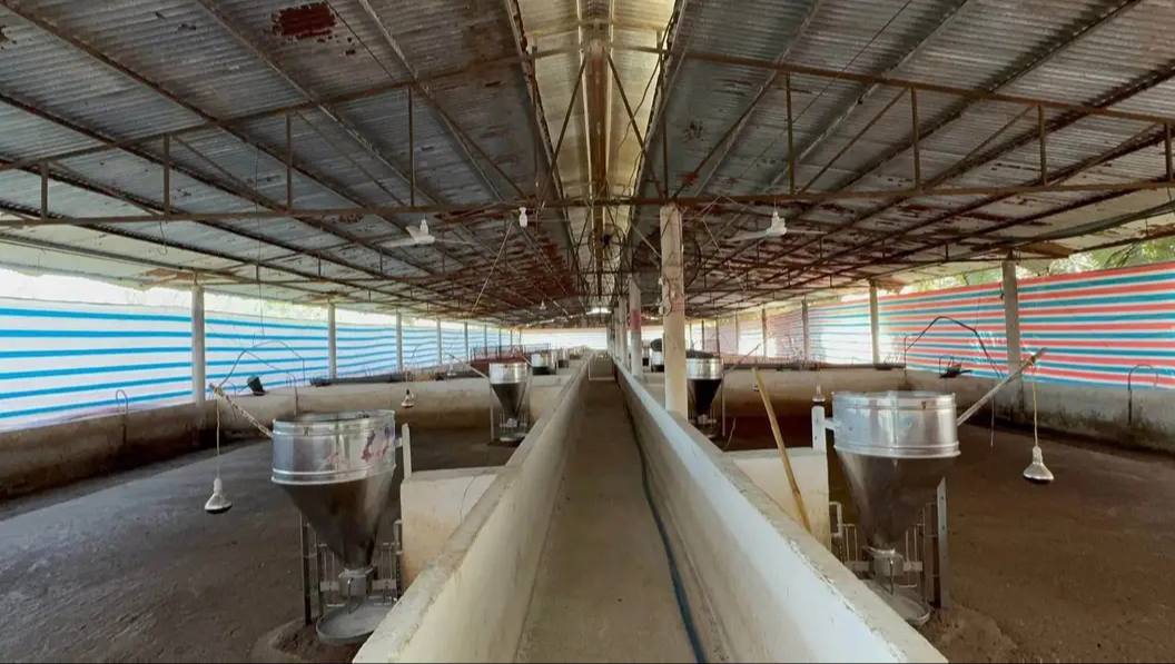 Bán nhà vườn kinh tế tổng hợp tại Tân Phú, Đồng Nai – 11.627m² chỉ 5.5 tỷ