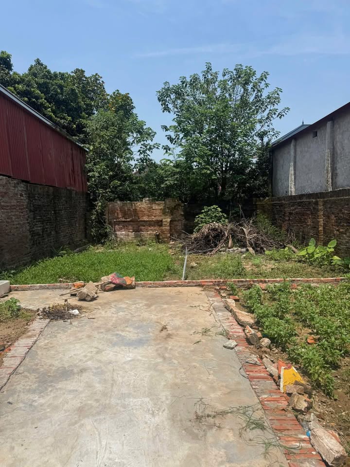 Đất nền Võng Xuyên Phúc Thọ 42m² giá 1.1 tỷ - Đầu tư sinh lời ngay!