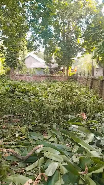 Đất thổ cư Yên Bài Ba Vì 1000m² - Hướng Đông Nam, giá thỏa thuận!