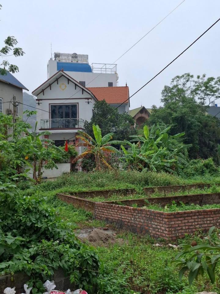 Đất nền Phụng Châu Chương Mỹ 76m² - Lô góc mặt tiền siêu rộng, giá thỏa thuận!