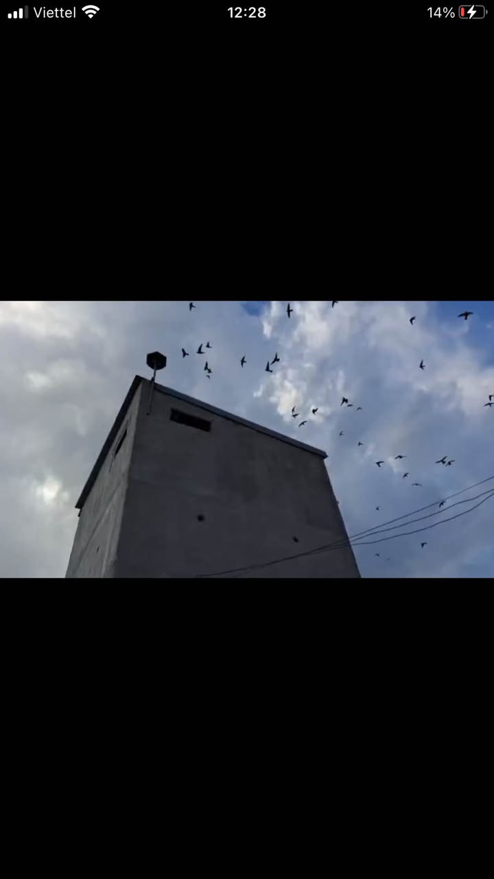 Đất Tân Thuận Hàm Thuận Nam 4100m² giá 950 triệu - Đầu tư sinh lời ngay!