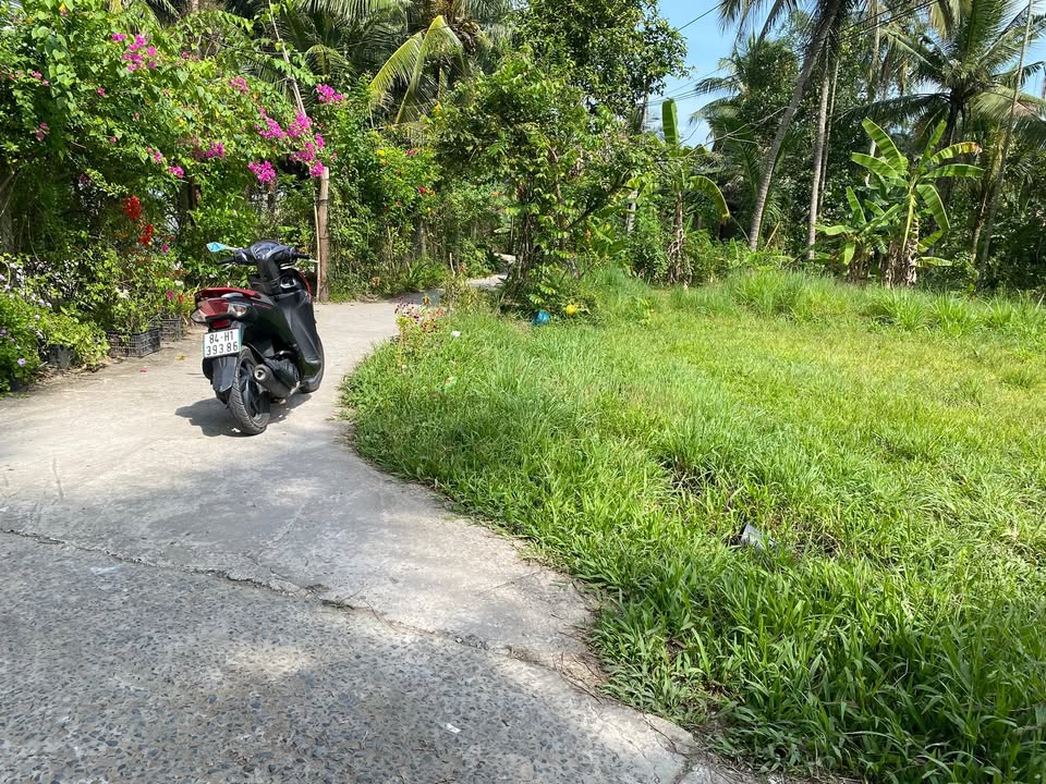 Đất nền 1080m² tại Ấp Ô Chích, huyện Cầu Kè, giá 600 triệu - Đầu tư sinh lời ngay!