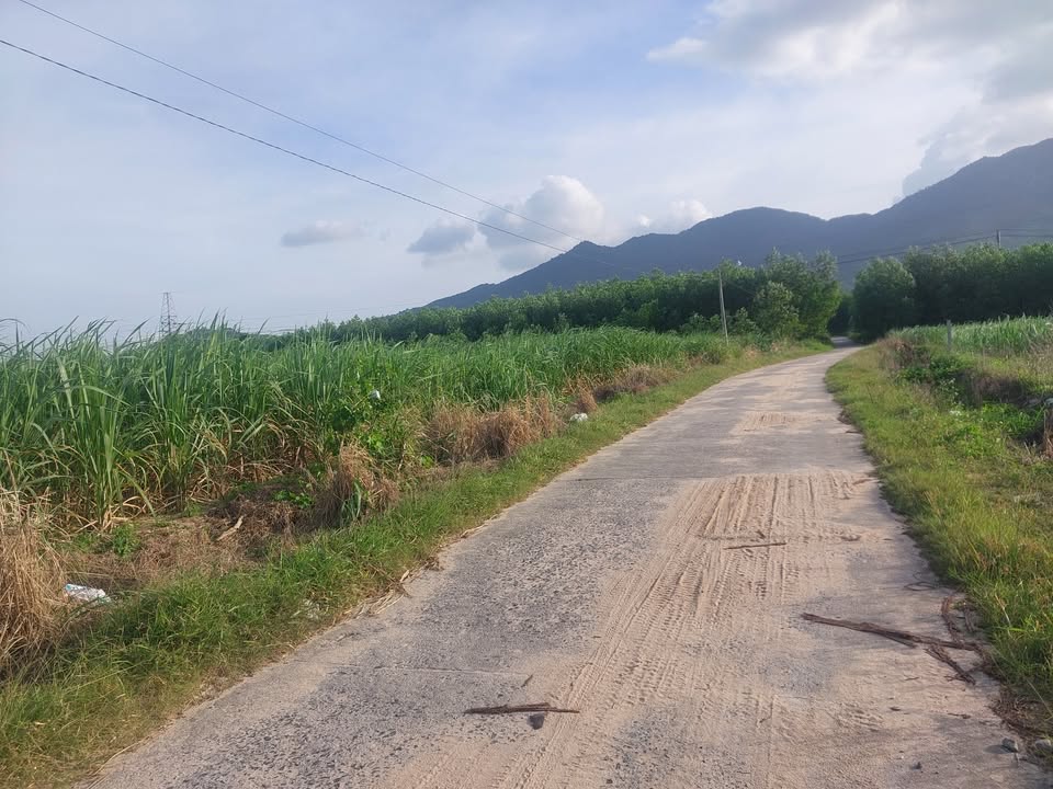 Đất nền Cam An Nam 7200m² giá 4.5 tỷ - Đầu tư sinh lời ngay!