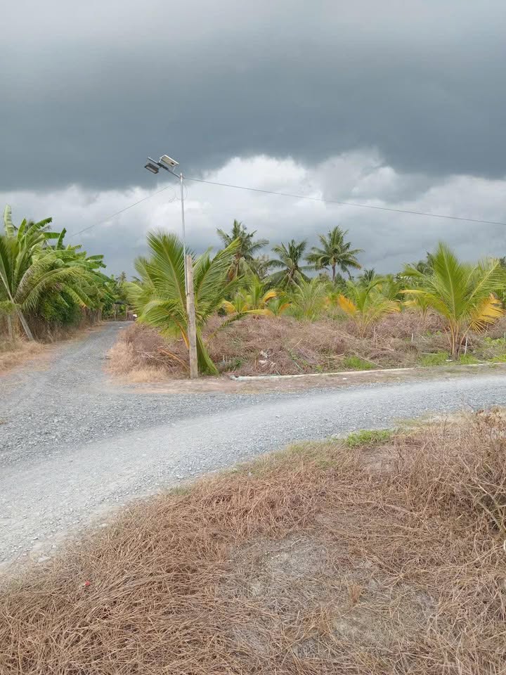 Đất nền 2 mặt tiền ấp An Lợi, Cái Bè 1000m² giá 2.1 tỷ - Đầu tư sinh lời ngay!