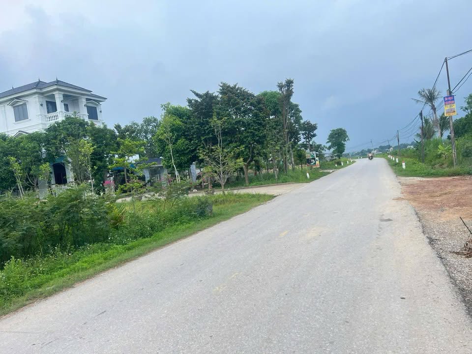 Đất nền Hợp Tiến, Triệu Sơn 540m² - Đường tỉnh lộ 514, Kinh doanh tốt!