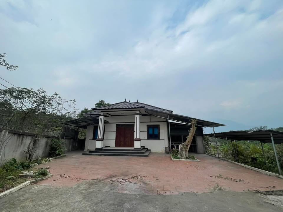 Biệt thự nhà vườn Tam Dương 1140m² giá thương lượng - Sẵn sàng vào ở ngay!