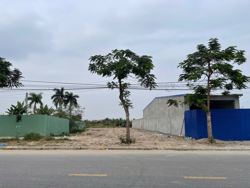 Đất thổ cư 200m² mặt đường Ngô Gia Tự - Giá chỉ 12 tỷ!