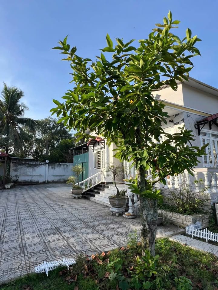 Biệt thự vườn Củ Chi 2268m² giá 20.5 tỷ - Đầu tư sinh lời ngay!